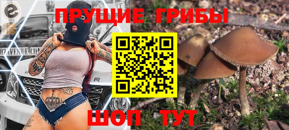 Кушва  Псилоцибиновые грибы ЛСД  Вход с VPN 