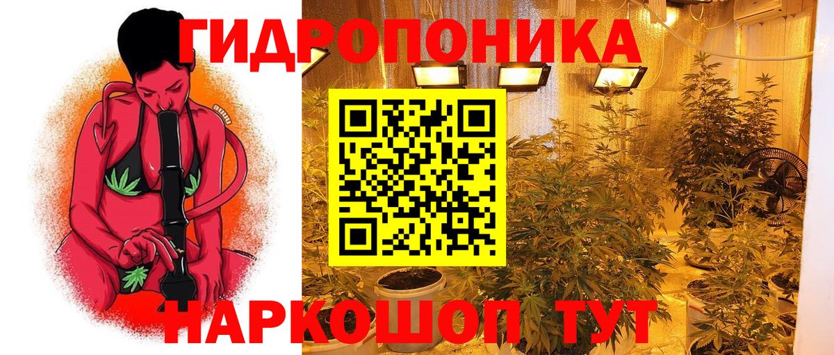 Канабис сатива  Марихуана White Widow  Кушва  Вход с VPN  Бошки марихуана планчик  Каннабис Ganja 